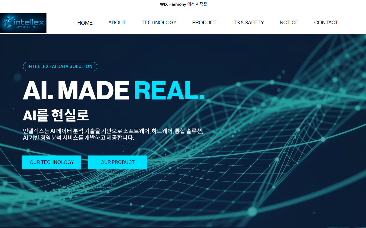 INTELLEX visual